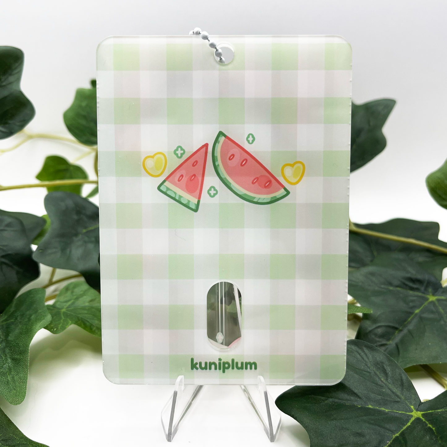 Watermelon Frog Photocard Holder